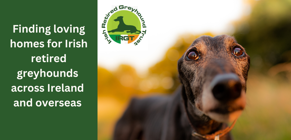 Greyhound Education Programme